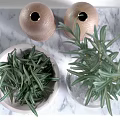 Decorative Ornament Collection With Rosemary Glass Vase Wooden Grinders Olive Oil Bottle And Marble Tray