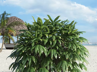 Lush Green Tree With Dense Foliage On Sandy Beach Under Blue Sky 3d model
