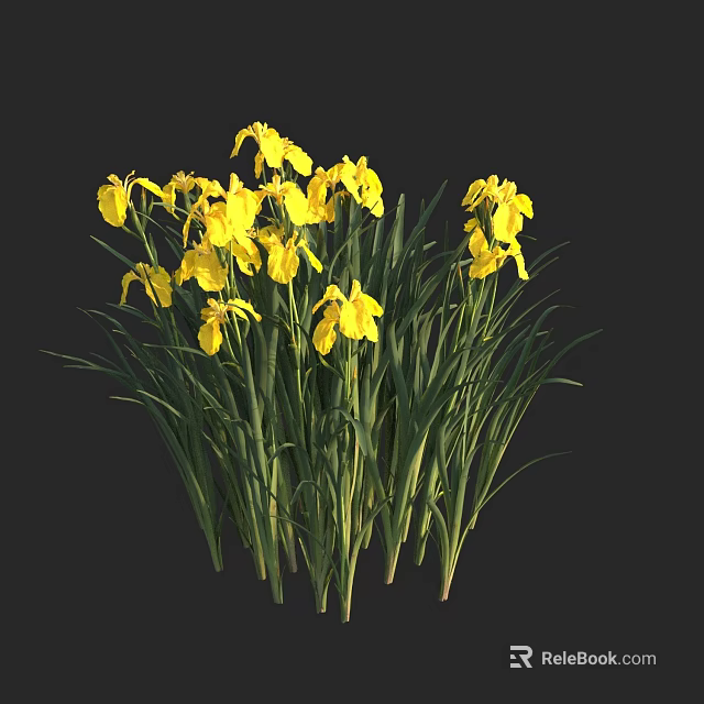 Vibrant Aquatic Plants With Yellow Flowers And Green Long Leaves 3d model 