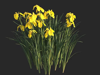 Vibrant Aquatic Plants With Yellow Flowers And Green Long Leaves 3d model