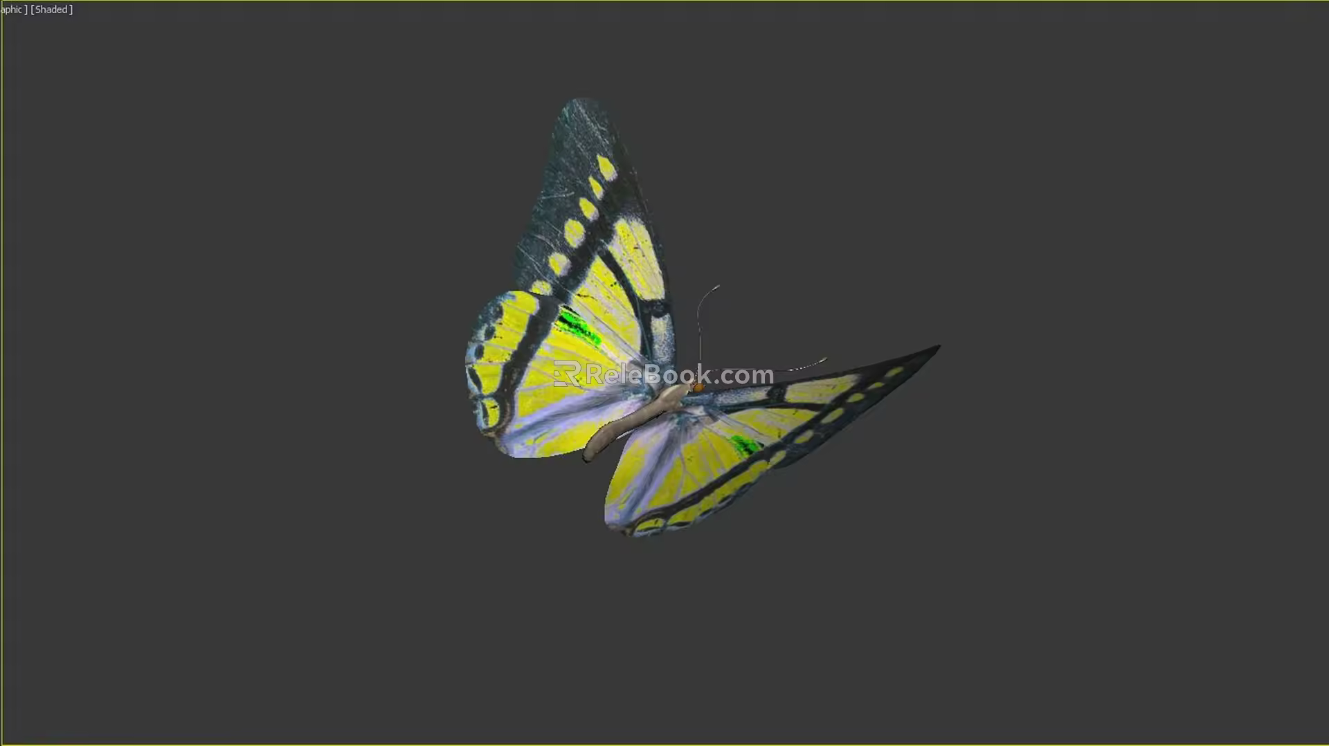 Modern Butterfly 3d model