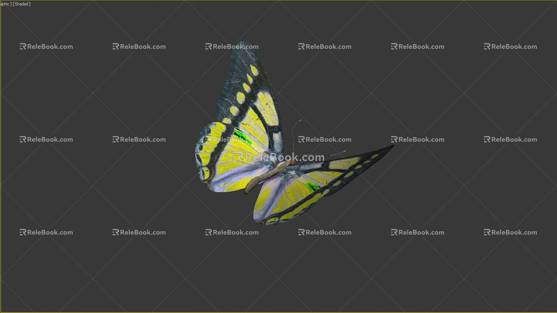 Modern Butterfly 3d model