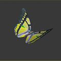 Modern Butterfly 3d model