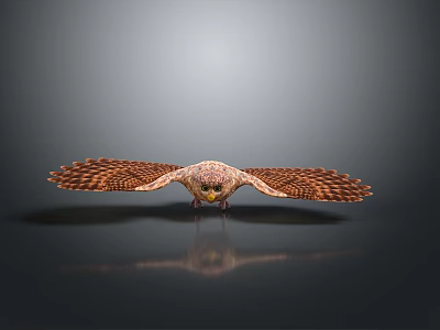 Owl grimace owl long-eared owl wulin owl monkey face owl carved owl 3d model