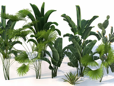 Lush Green Tropical Plants Collection With Large Leaves And Palm Varieties 3d model