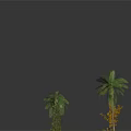 Various Types of Decorative Plants Including Palm Trees and Pine with Green Leaves