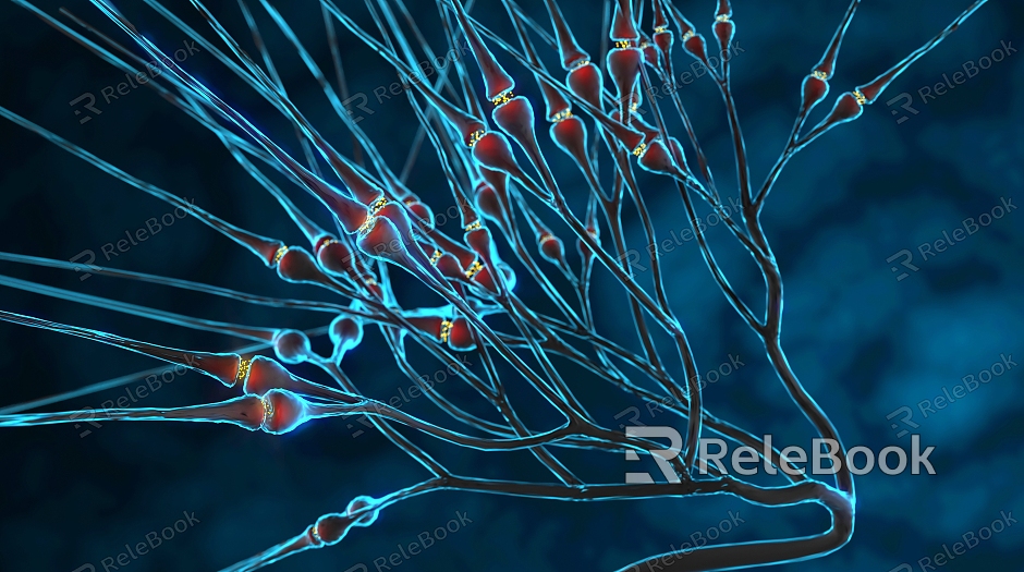 modern nerve cell activity nerve cell synapse model