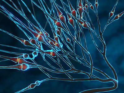 Advanced Medical Device for Neural Structure Visualization with 3D Neuron Imaging Technology 3d model