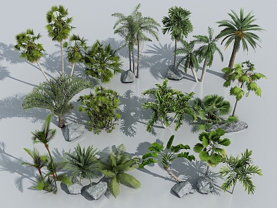 Palm Plants Tropical Plants Coconut Tree Palm Tree Scatter Sunflower Scatter Sunflower 3d model