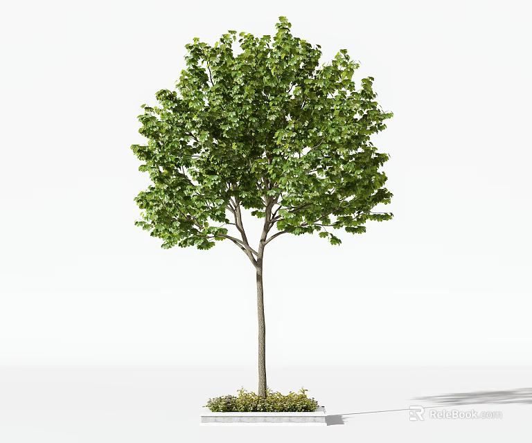Lush Green Arbor with Dense Foliage and Brown Trunk on White Background 3d model 