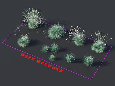 Ornamental Blue Fescue And Green Plants In Low Wooden Planters Design 3d model