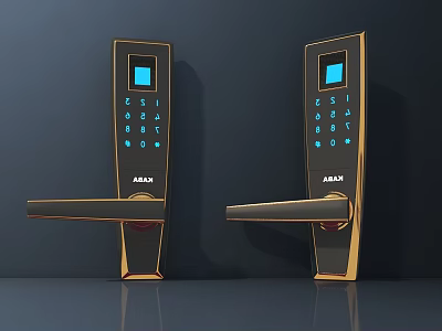 Smart Digital Door Handle with Blue Screen Keypad and ABAX Gold Black Design 3d model