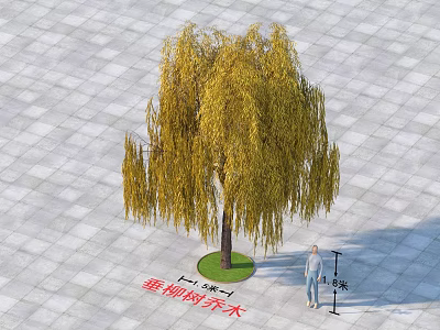 Weeping Willow Arbor With Yellow Hanging Leaves And 3 Meters Height On Gray Square Tiles 3d model