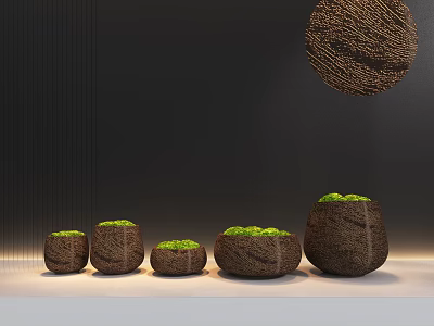Bonsai Potted Plants In Five Different Sizes With Brown Textured Pots And Green Foliage 3d model