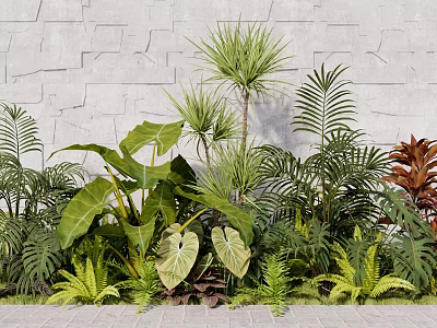 Plant Combination Of Green Plants Large Leaves Ferns Palms Red Accents Against Gray Stone Wall 3d model