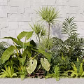 Plant Combination Of Green Plants Large Leaves Ferns Palms Red Accents Against Gray Stone Wall