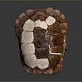 Detailed Brown White Orange Turtle Shell With Textured Surface And Dark Background Reflection 3d model