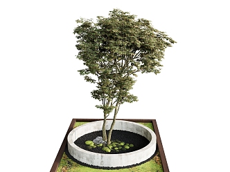 plant outdoor tree 3d model