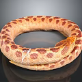 Coiled Brown Beige Spotted Snake In Ring Shape With Scaly Skin