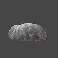 Fluffy Grey Cat Curled Up Sleeping Peacefully On Soft Surface