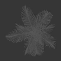 Lush Tropical Palm Tree With Feathery Green Leaves And Slender Trunk