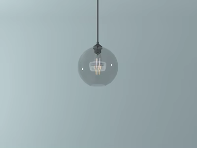 Spherical Clear Glass Pendant Light With Black Hanging Cord Against Light Blue Wall 3d model