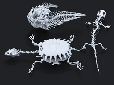 Creative White Animal Skeleton Decorative Ornament Set for Home Decor Display on Black Background 3d model