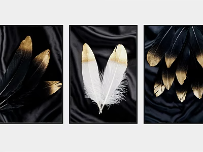 Feather Decorative Paintings With Black And Gold White Feathers On Black Background 3d model
