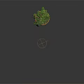 Leafy Green Plant In Terracotta Pot With Pedestal Base On Dark Background