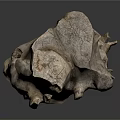Natural Tree Stump with Rough Textured Wood Surface for Garden Decoration