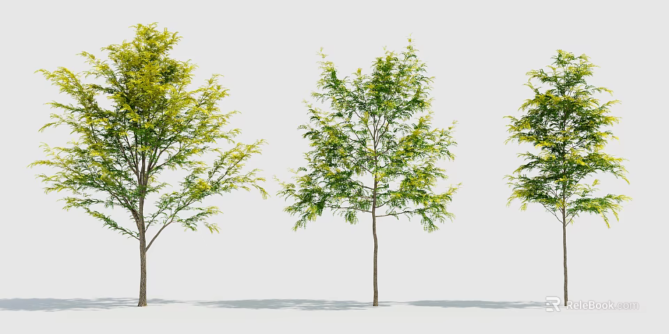 Three Arbor Trees With Green Foliage And Brown Trunks On White Backdrop 3d model