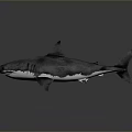 Realistic 3D Model of Grey Shark with Sharp Fins and Sleek Body