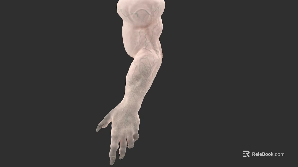 Game Movie Character Muscular Arm With Detailed Veins And Pale Skin On Dark Background 3d model 