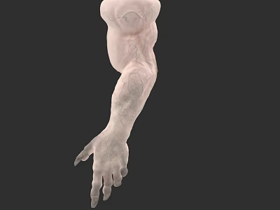 Game Movie Character Muscular Arm With Detailed Veins And Pale Skin On Dark Background 3d model