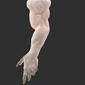 Game Movie Character Muscular Arm With Detailed Veins And Pale Skin On Dark Background