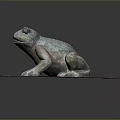 Frog Poison Frog Game Frog Reptile Cold Blooded Animal Reptile 3d model