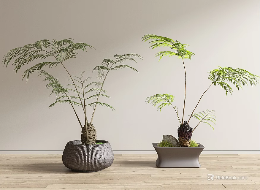 Green Leafy Bonsai Potted Plants In Gray Woven Round And Square Pots On Wooden Floor 3d model 