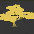 Lush Green Pine Tree With Textured Brown Trunk And Natural Foliage