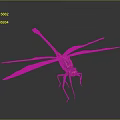 Detailed Black And Yellow Dragonfly With Transparent Wings In Flying Pose On Grey Background