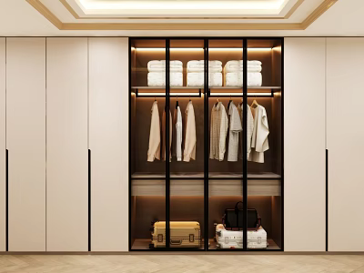 Modern Wardrobe Interior With Glass Doors Hanging Clothes And Storage Space 3d model