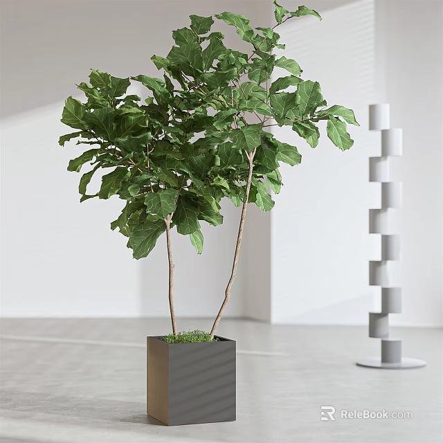 Lush Green Bonsai Plant With Two Trunks In Square Gray Pot Modern Interior 3d model 