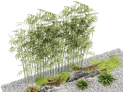 Bamboo Plants In Landscape With Rocks Moss And Small Plants 3d model
