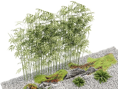 Bamboo Garden Landscape Bamboo Row Landscape Bamboo Green Bamboo Forest Dry Landscape Garden Sparkling Pebbles 3d model