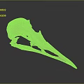 Realistic Bird Skull Anatomy Showing Detailed Bone Structure And Natural Form