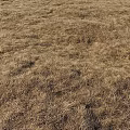 Dry Grass Garden Ornament With Natural Brown Turf And Textured Withered Landscape