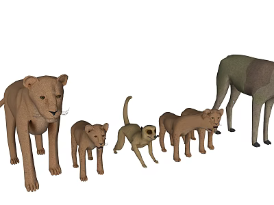 Light Brown Lion Models in Different Sizes Against White Background 3d model