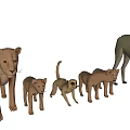 Light Brown Lion Models in Different Sizes Against White Background
