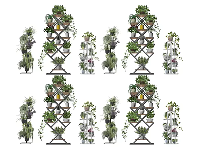 Indoor Bonsai Potted Plants On Multi Tiered Shelves With Various Green Plants For Home Decor 3d model