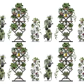 Indoor Bonsai Potted Plants On Multi Tiered Shelves With Various Green Plants For Home Decor