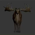 Moose Sculpture With Large Antlers And Brown Fur Standing In Natural Texture